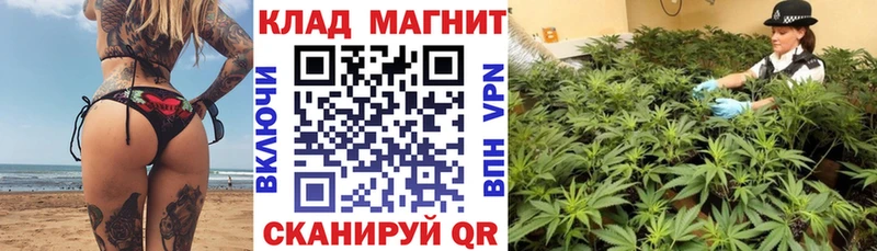 Магазины продажи наркотиков Александровск МАРИХУАНА Alpha PVP MDMA Гашиш