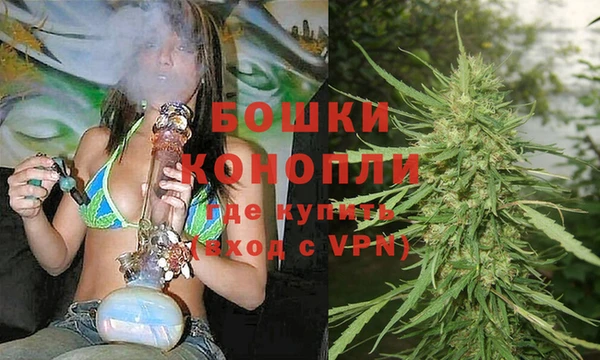 хмурый Няндома