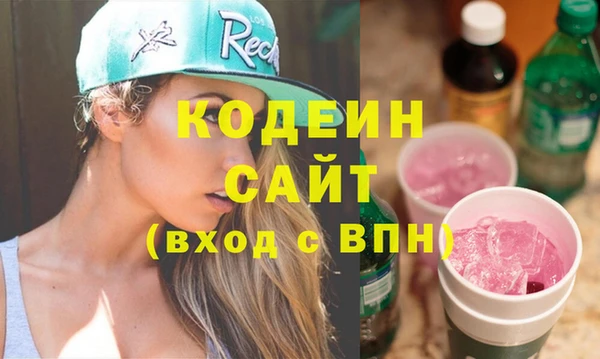 хмурый Няндома