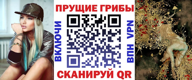 дарнет шоп  Александровск  Псилоцибиновые грибы GOLDEN TEACHER 